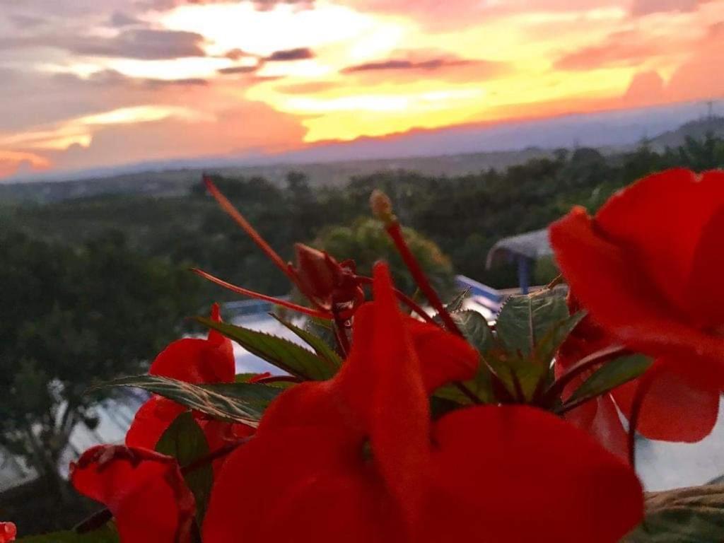 Hotel Casa Natura Перейра Екстер'єр фото